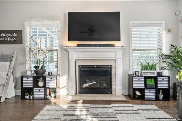 living room featuring wood finished floors and a glass covered fireplace