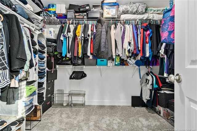 walk in closet featuring carpet