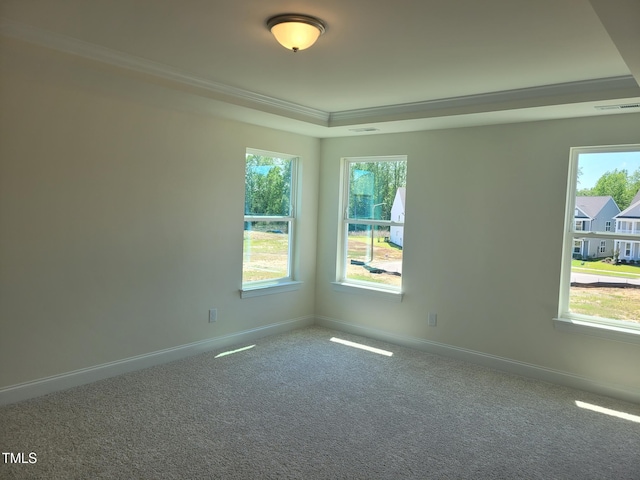 3703 Cessna Way Unit 9, Wilson, NC 27896 - empty room with a tray ceiling, carpet flooring, plenty of natural light, baseboards, and ornamental molding