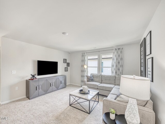 living area featuring baseboards and carpet floors