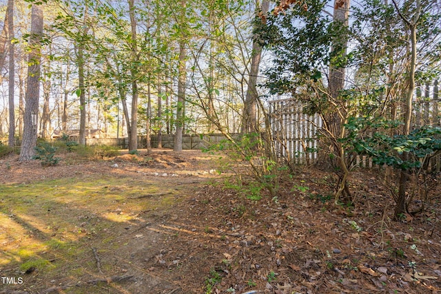 view of yard featuring fence
