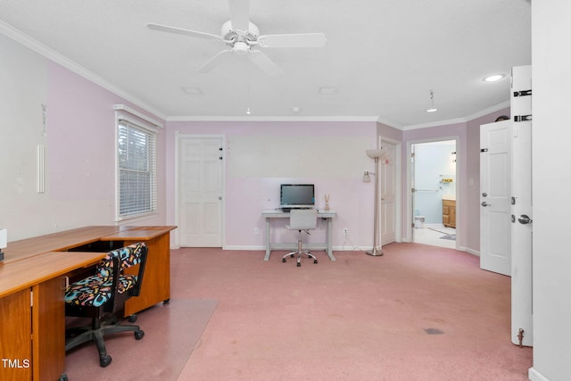 home office featuring baseboards, carpet, a ceiling fan, and crown molding