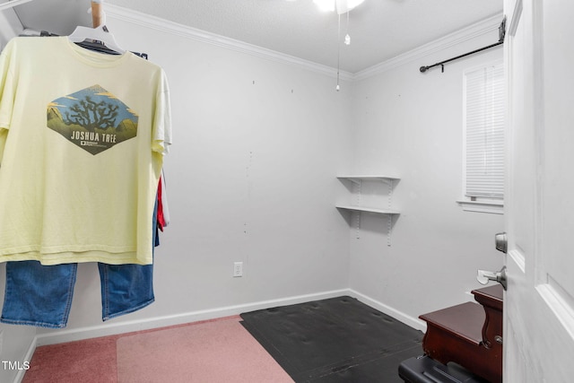 interior space with baseboards and crown molding