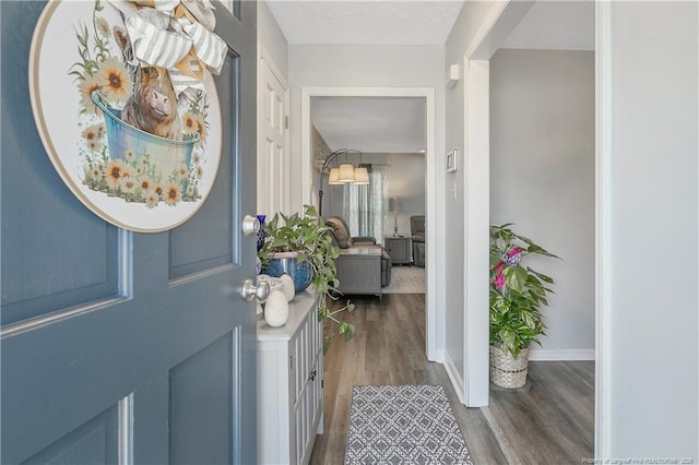 foyer featuring a textured ceiling, baseboards, and wood finished floors