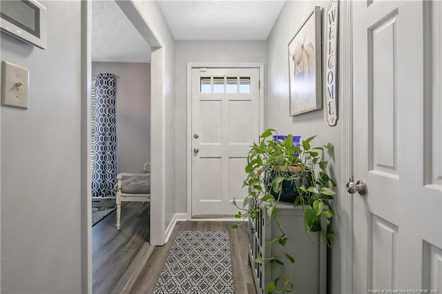 foyer with wood finished floors