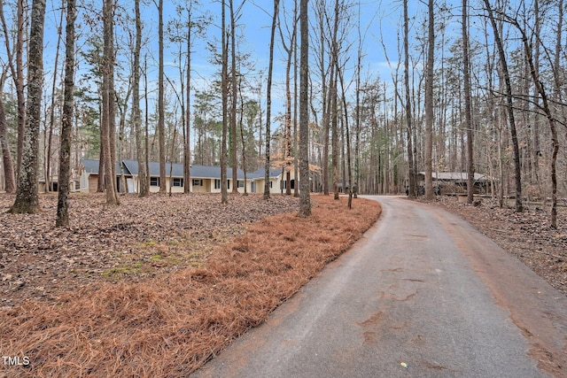 view of road featuring aphalt driveway