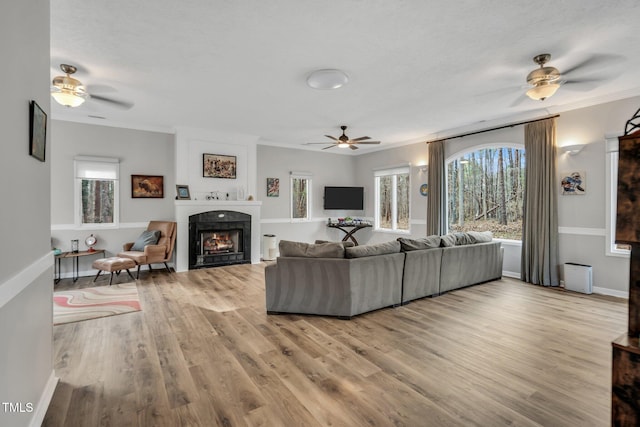 living room featuring light wood-type flooring, baseboards, a fireplace, and ornamental molding