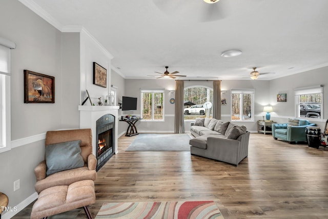 living room with crown molding, plenty of natural light, a lit fireplace, and wood finished floors