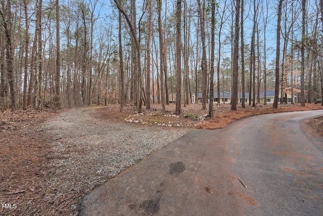 view of road with driveway