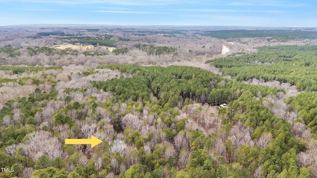 bird's eye view with a wooded view