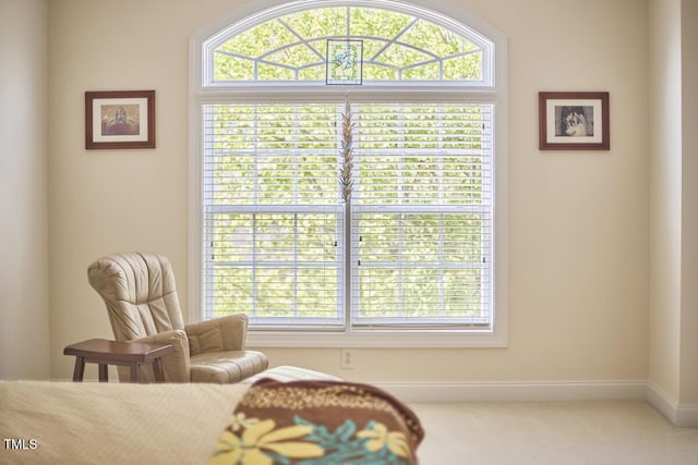 sitting room featuring baseboards and carpet flooring