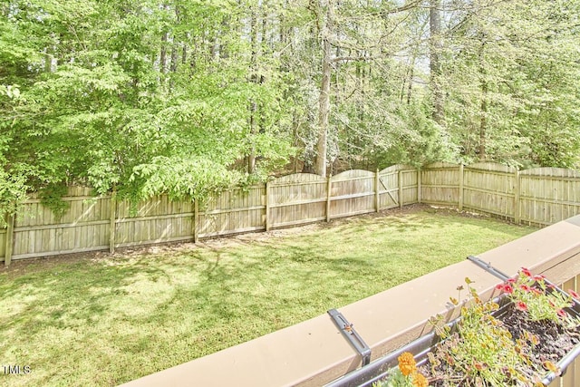 view of yard featuring a fenced backyard