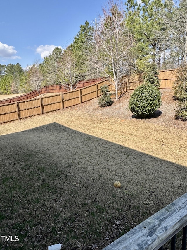 view of yard with a fenced backyard