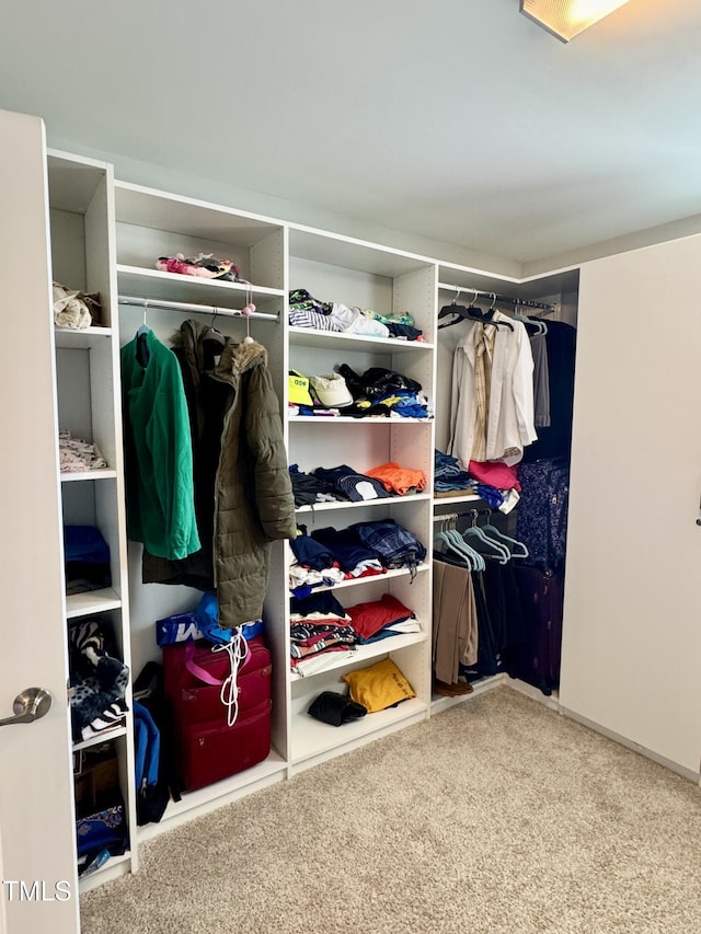 walk in closet with carpet flooring