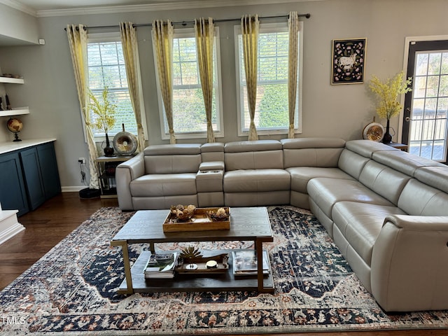 living room featuring ornamental molding, a wealth of natural light, baseboards, and dark wood-style floors