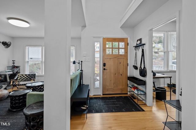 entrance foyer featuring a wealth of natural light and wood finished floors