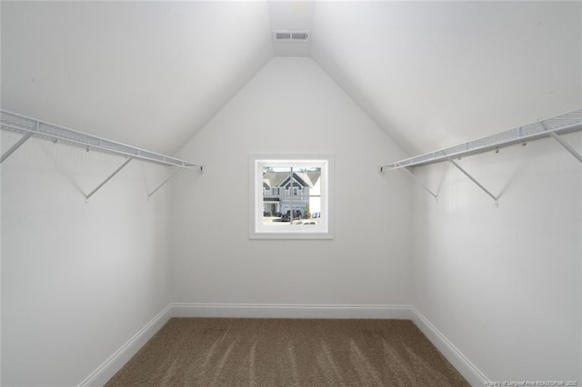 spacious closet with carpet floors, lofted ceiling, and visible vents