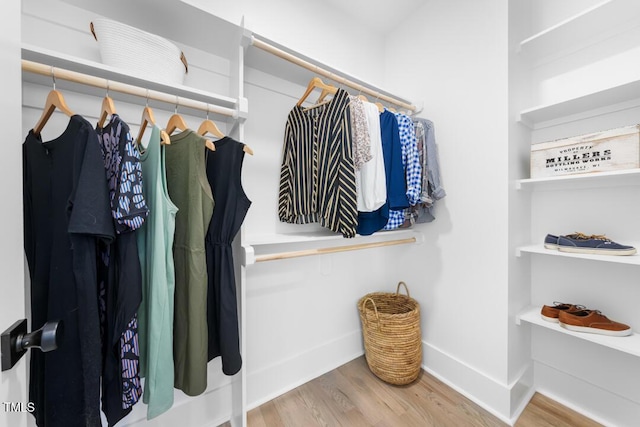 spacious closet featuring wood finished floors
