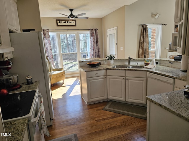 kitchen featuring white cabinetry, white appliances, dark wood-type flooring, and a sink