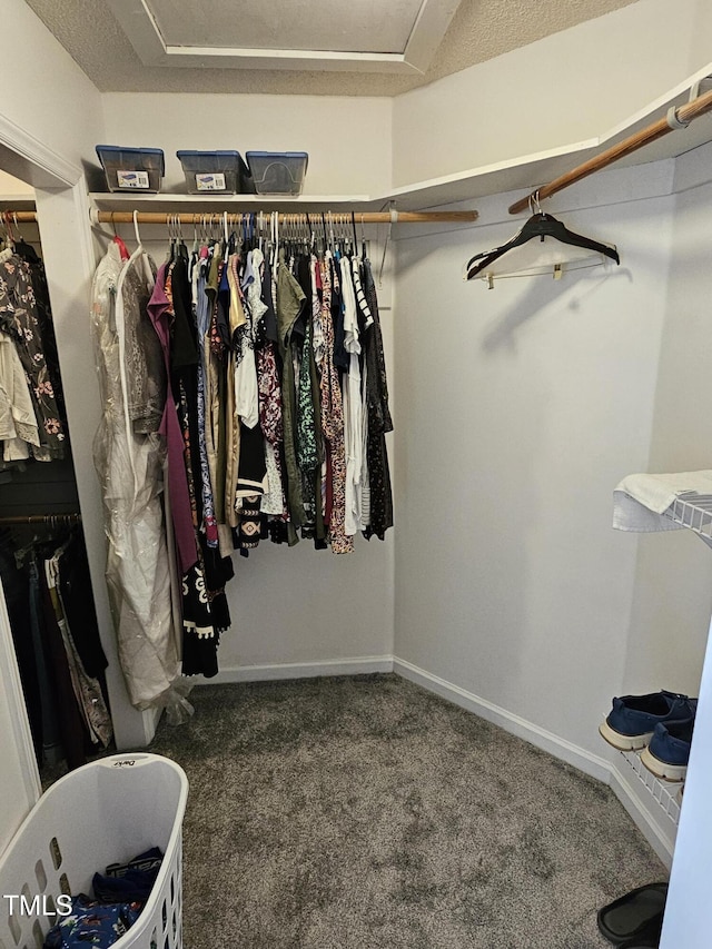 walk in closet with attic access and carpet flooring