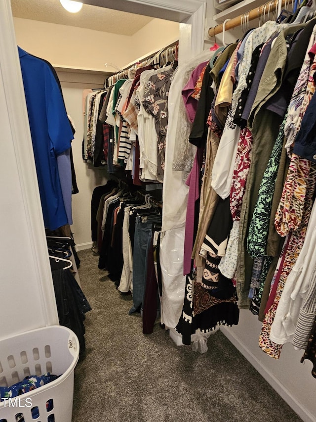 spacious closet featuring carpet flooring