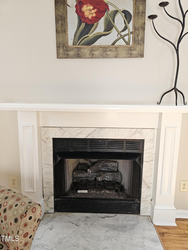 interior details with wood finished floors and a fireplace