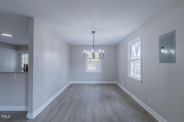 unfurnished dining area featuring a notable chandelier, wood finished floors, electric panel, and baseboards