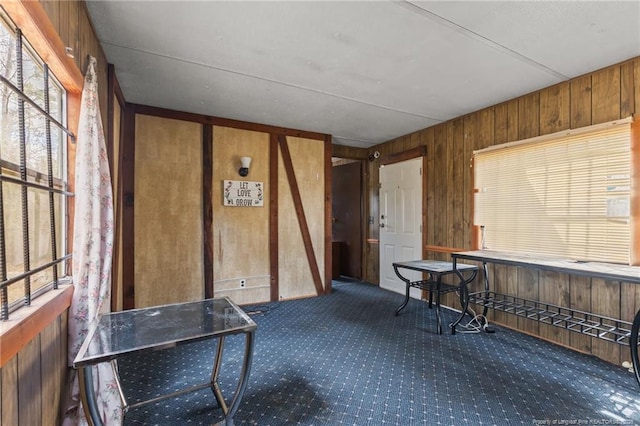 miscellaneous room featuring a healthy amount of sunlight, wooden walls, and carpet flooring