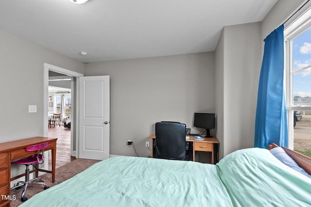 bedroom with carpet floors