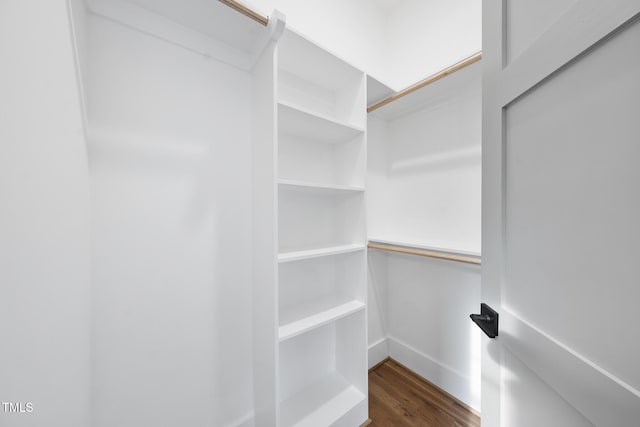 spacious closet featuring dark wood-type flooring