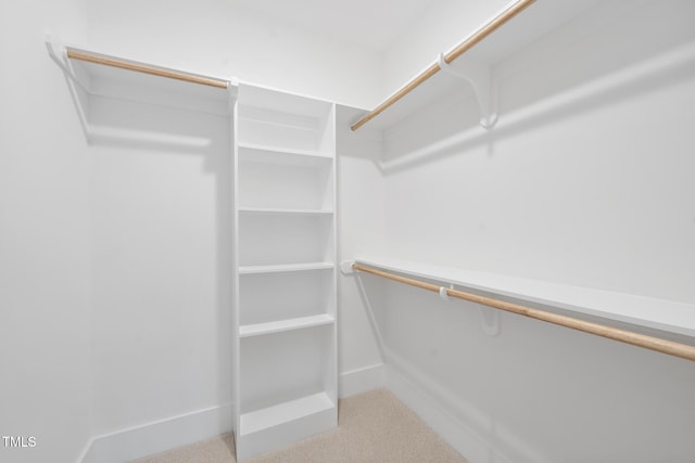 spacious closet featuring carpet flooring