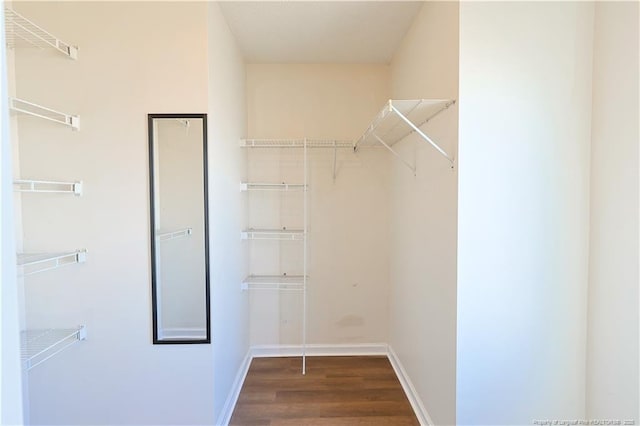 spacious closet featuring dark wood-type flooring