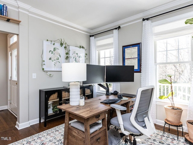 office featuring crown molding, baseboards, and dark wood-style flooring