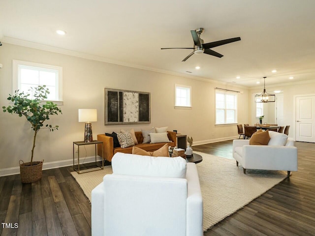 living room with ceiling fan with notable chandelier, dark wood-type flooring, and ornamental molding