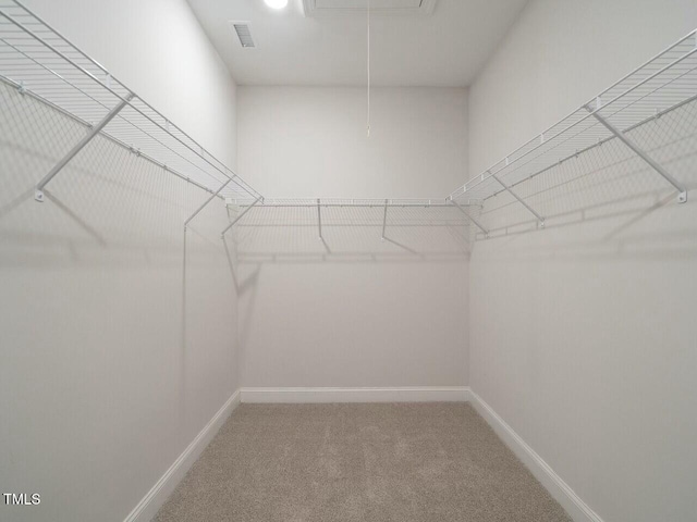 spacious closet featuring visible vents, carpet floors, and attic access