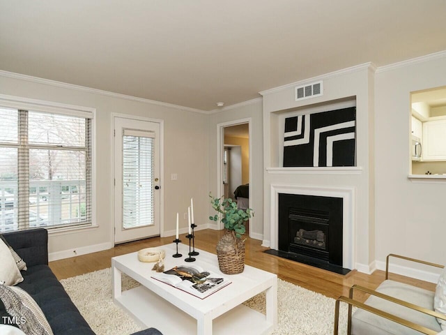 living area featuring visible vents, wood finished floors, baseboards, and ornamental molding