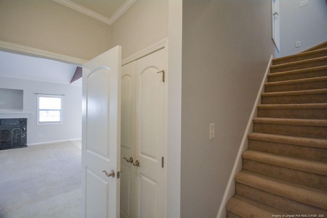 stairway featuring ornamental molding, carpet floors, and baseboards