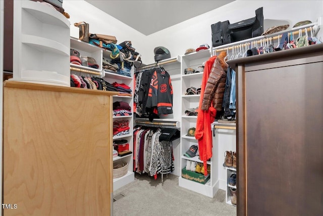 walk in closet with carpet floors