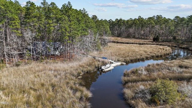 bird's eye view with a water view and a forest view