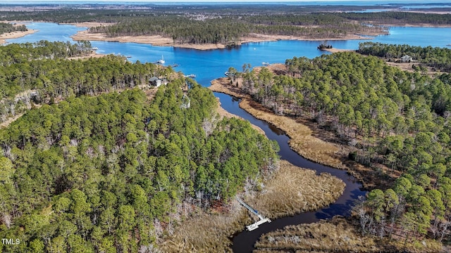 bird's eye view with a water view and a wooded view