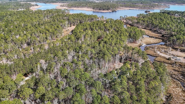 bird's eye view with a water view and a forest view