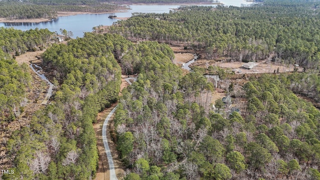 bird's eye view with a water view and a view of trees