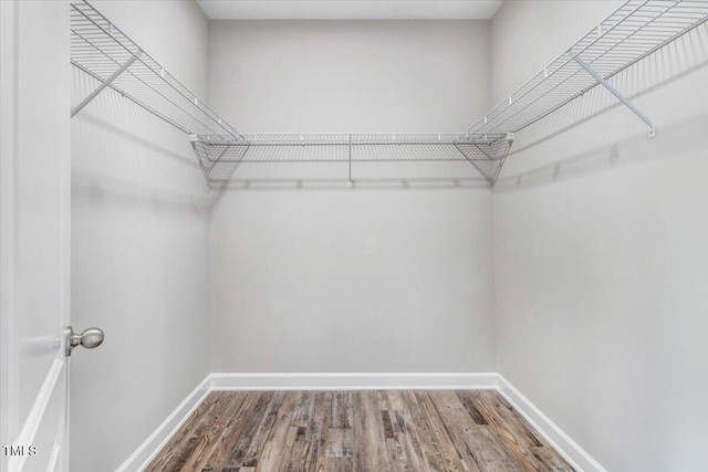 walk in closet featuring wood finished floors