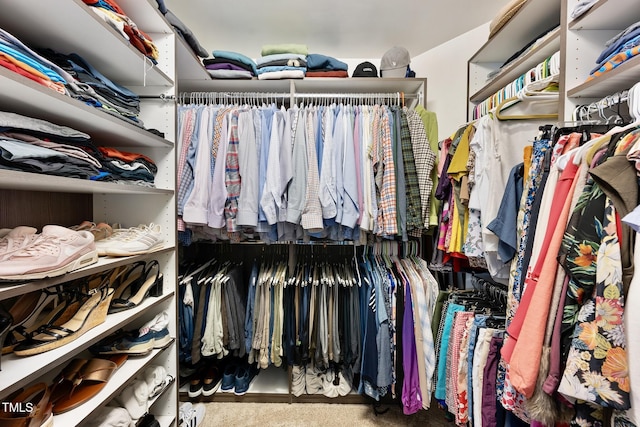 walk in closet with carpet flooring