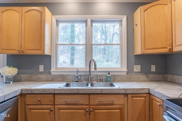 kitchen featuring stainless steel appliances and a sink