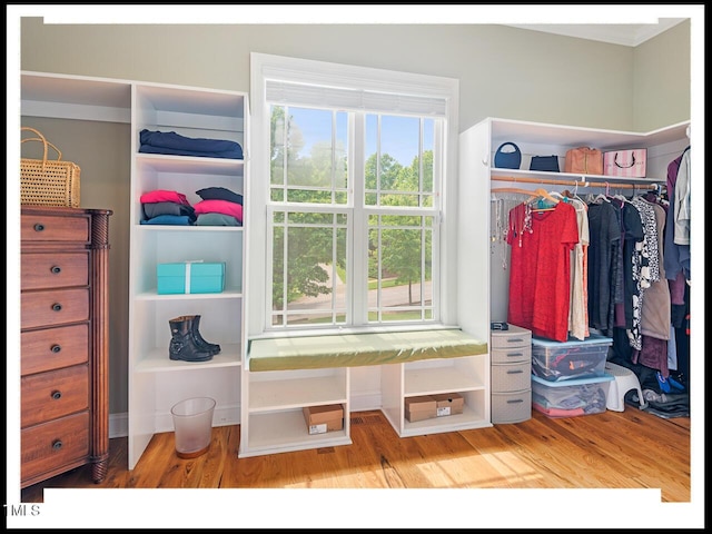 view of closet