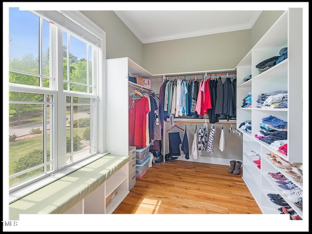 spacious closet featuring light wood-style flooring