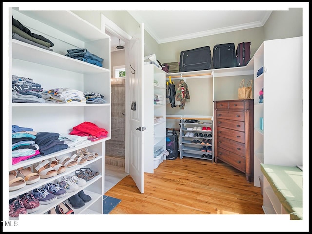 walk in closet featuring light wood-style floors