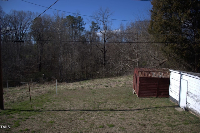 view of yard featuring an outdoor structure and a storage unit