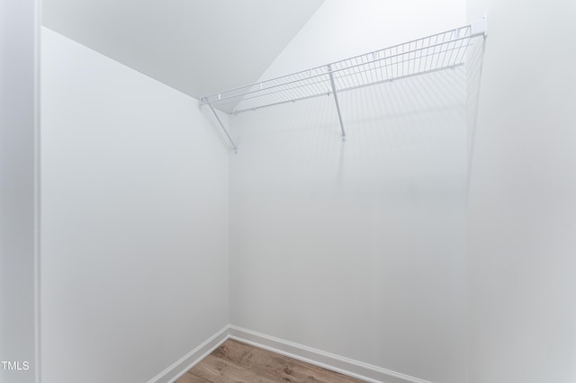 spacious closet featuring light wood-style flooring